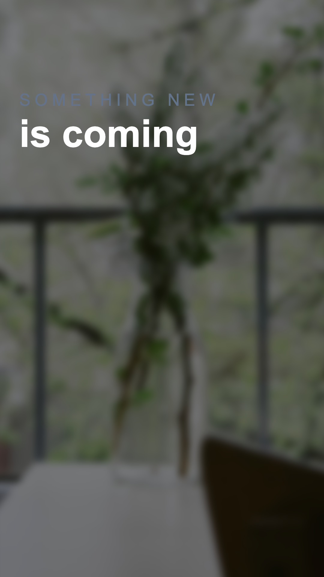 Product Reveal preview