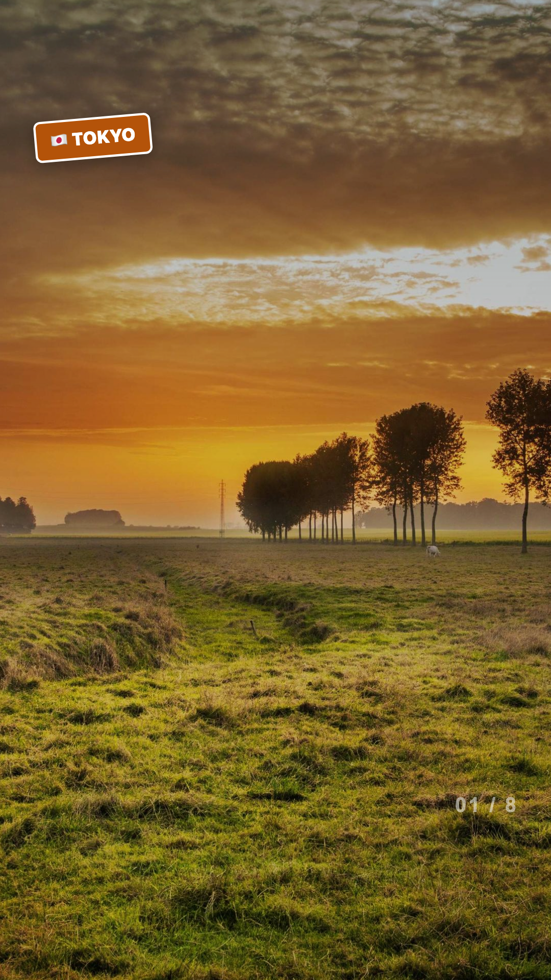 Travel Montage preview