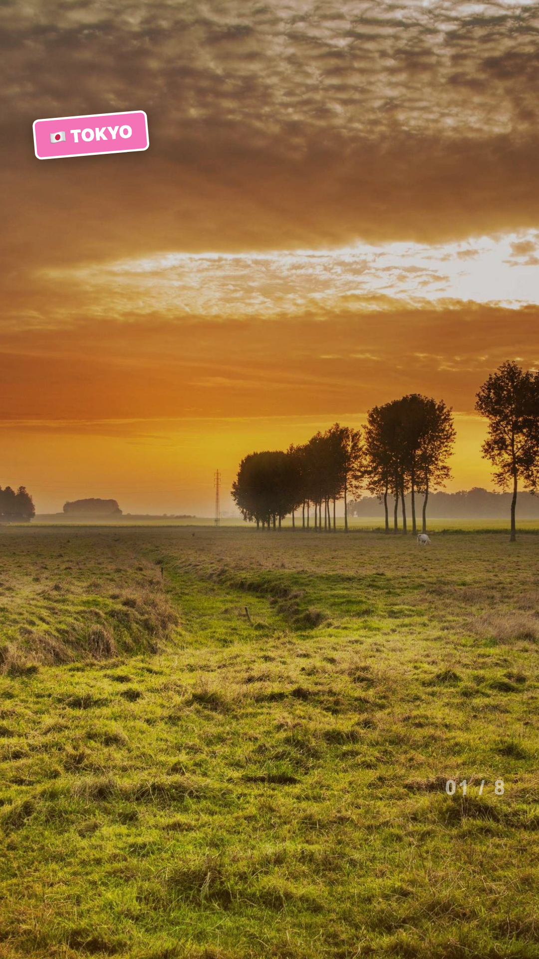 Travel Montage preview